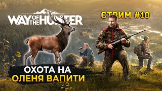 Стрим Way of the Hunter #10 - Охота на Оленя Вапити. Охота и Общение