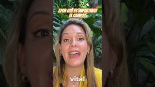 ¿Por qué es importante el campo?