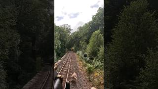 Sheep Outruns Train 🐑 🚂🚃🚃