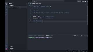 How a Program Works | Synaris Labs Update