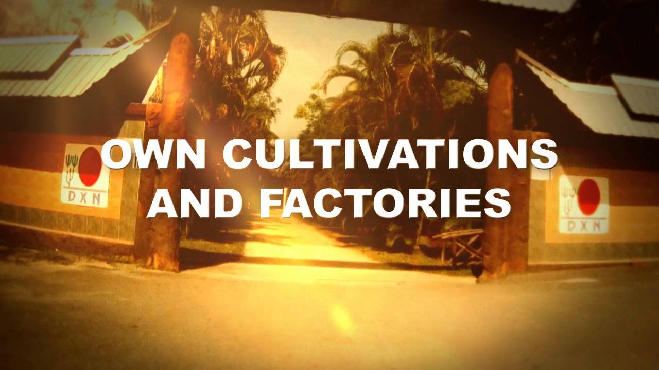 DXN Italy - Opening Ceremony