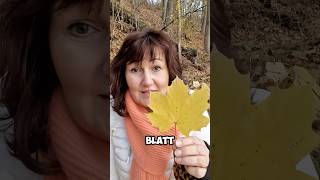 #herbst #blätter #wildpflanzen #vitamine