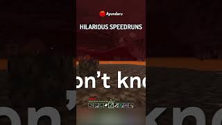 I Found The Funniest FAKE Minecraft Speedrun…