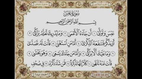 الشيخ حسن صالح سورة عبس