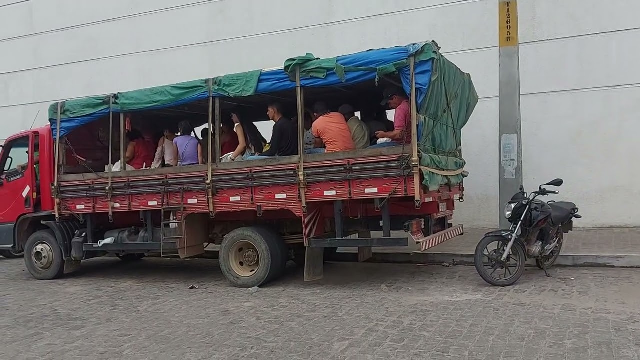 pau De arara na cidade de gravatá Pernambuco