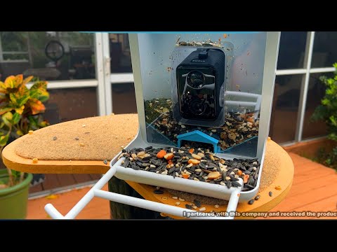 LKbird Smart Bird Feeder with Camera & Free AI Bird Recognition Software
