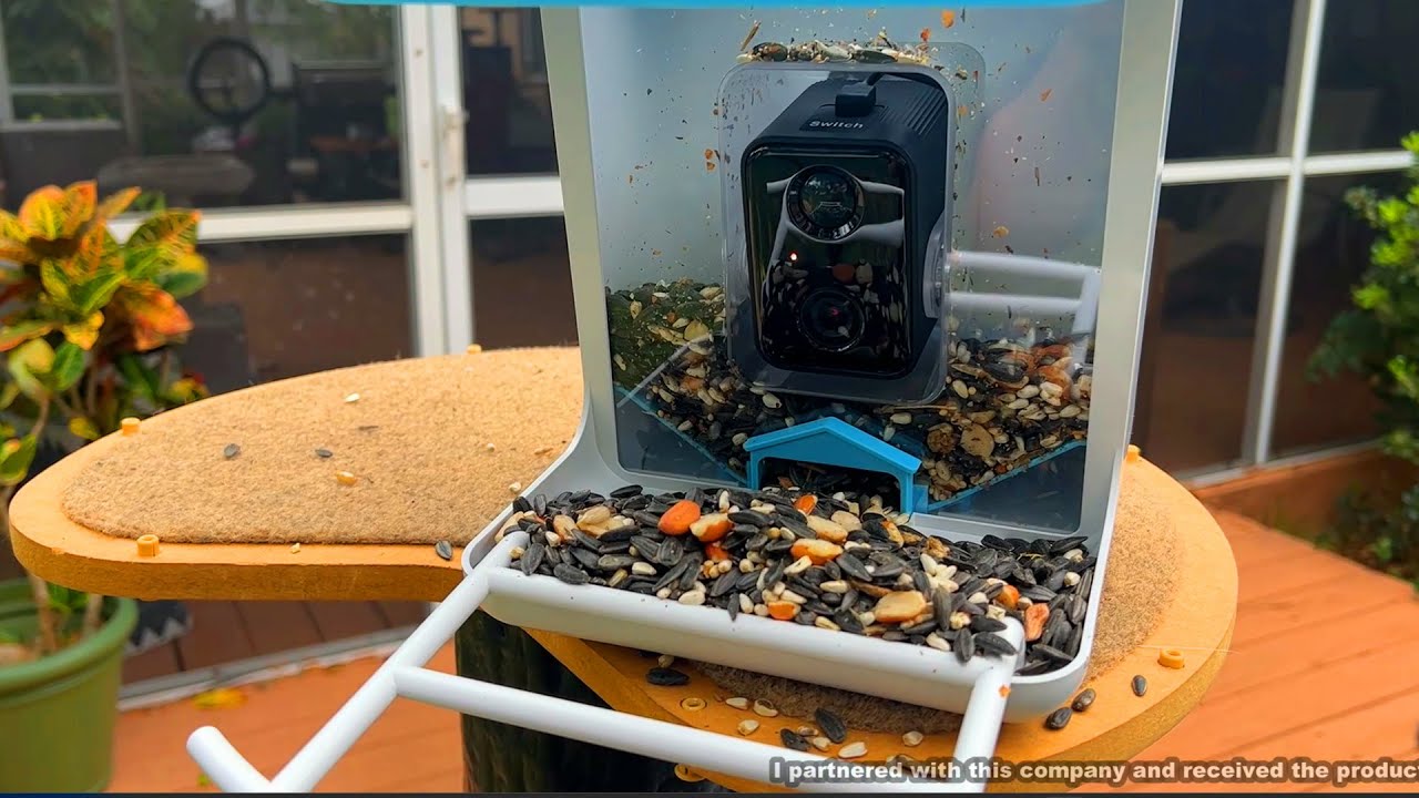 LKbird Smart Bird Feeder with Camera & Free AI Bird Recognition ...
