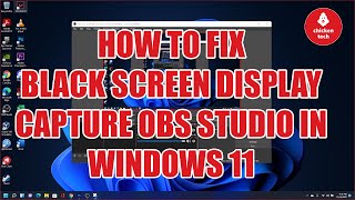 how to fix black sceen display capture in obs studio windows 11