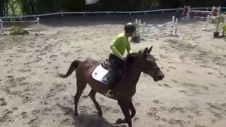 HJ Honolulu Calvet Z X Quik Star Festival de la Amistad Campo Ecuestre Guaynabo 