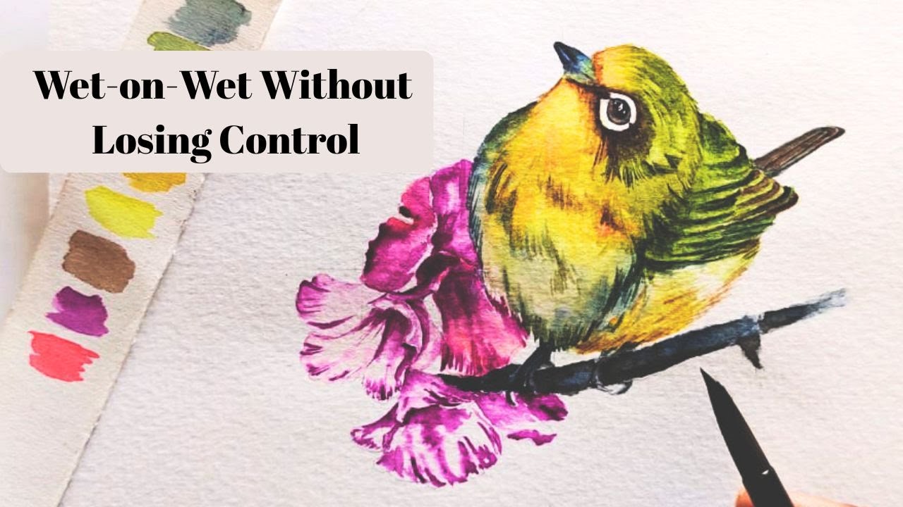 How I Paint a Japanese White-Eye in Watercolours | Process & Colour Choices, Wet-on-Wet