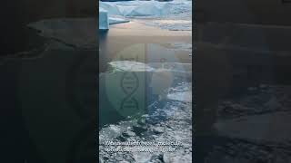 Why does ice float on water? || Density anomaly of water explained || #sabasohail || #scipeak