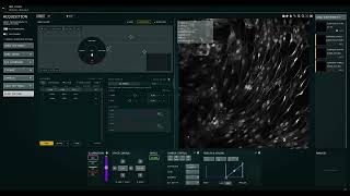 Synthwave and Bug Testing with Expired Parkinson Cells
