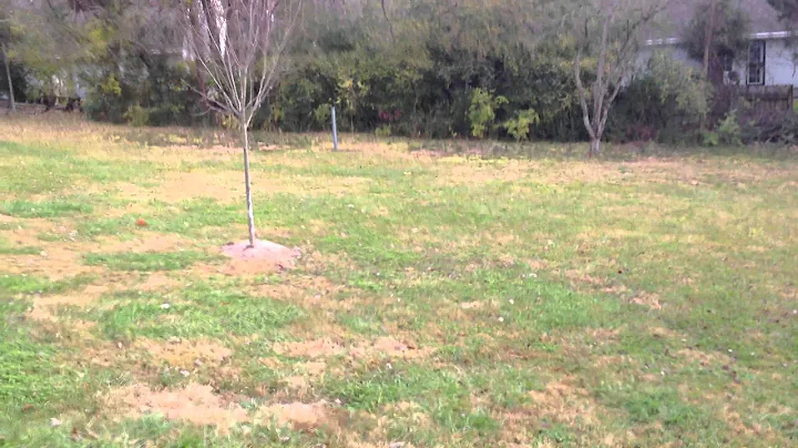 Quadcopter plus iphone - take 3