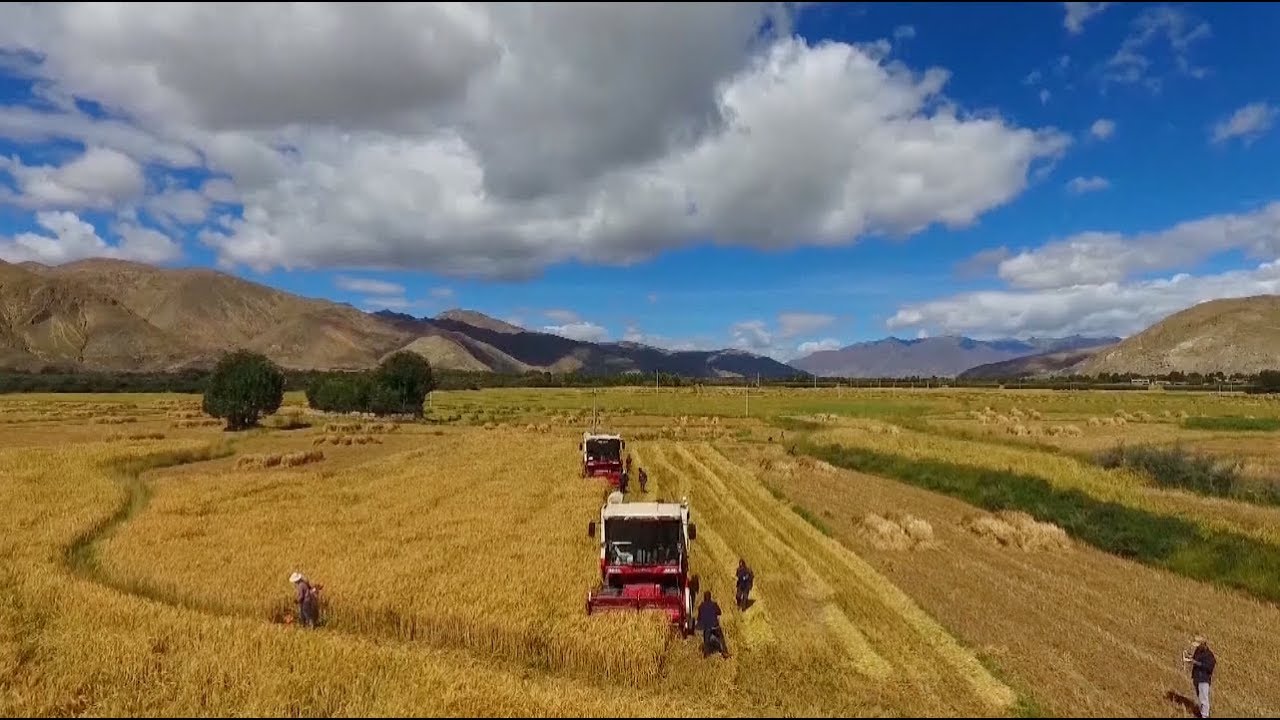 Internet Giants across China Strengthen Efforts in Intelligent Agriculture newspaper mockup