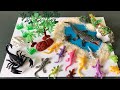 Learn The Animal Name | Robotic Crawling Spider and Cockroach | Animal Toys for Kids a Toddler