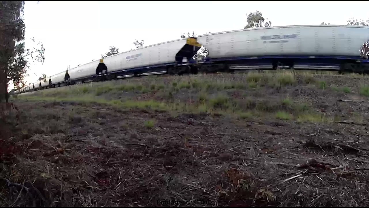 4 Man locos on Manildra Grain train through Turrawan 29102025