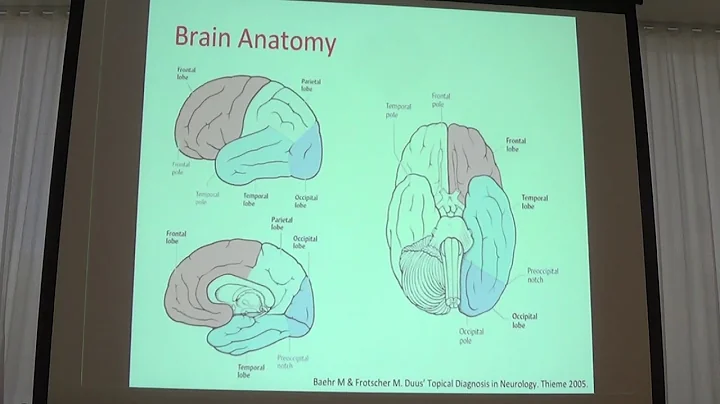 Primary Brain Tumors