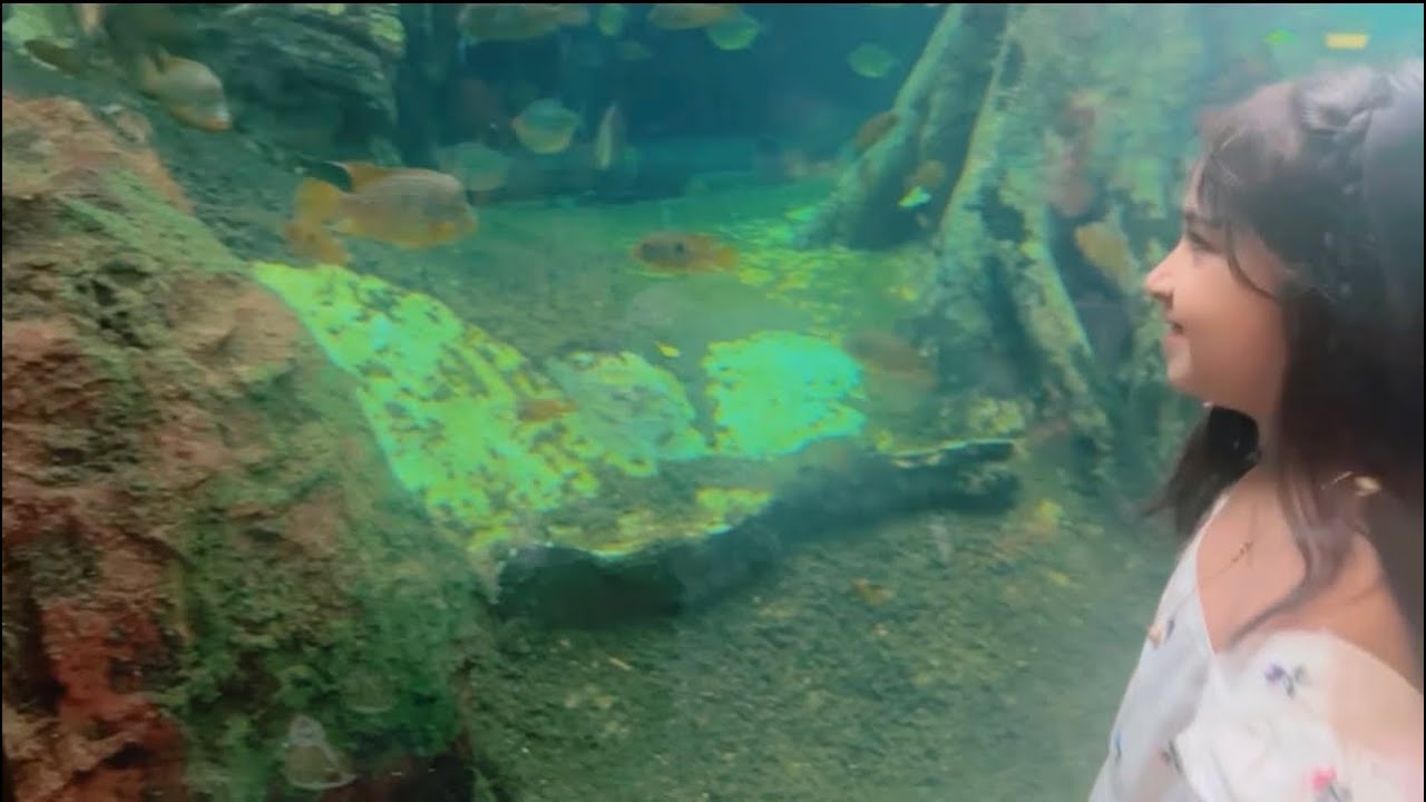 CosmoCaixa | The science museum in Barcelona