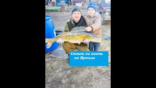 Рыбалка на Иртыше -2021.Стоит ли ехать на Иртыш