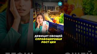 Дефицит овощей спровоцировал рост цен / Новости #ростцен #деньги #овощи #экспорт #урожай #дефицит