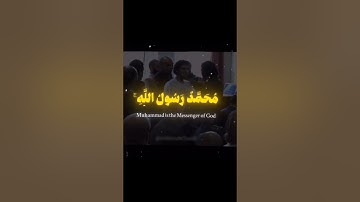 محمد الرسول الله والذين معه اشداء على الكفار رحماء بينهم | سورة الفتح | #القرآن_الكريم #تلاوة_خاشعة