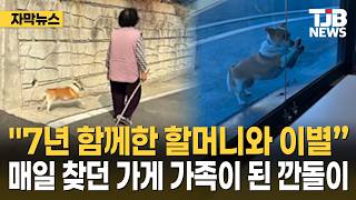 '7년 함께한 할머니와 이별…'매일 찾던 가게 가족이 된 깐돌이｜ TJB 대전·세종·충남뉴스