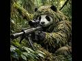 Panda Plays BF6