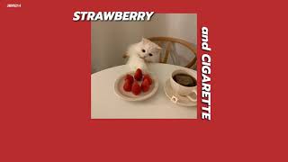 [Thaisub/แปลเพลง] strawberry and cigarette - Troye sivan