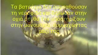 Οχια και νεροφιδα
