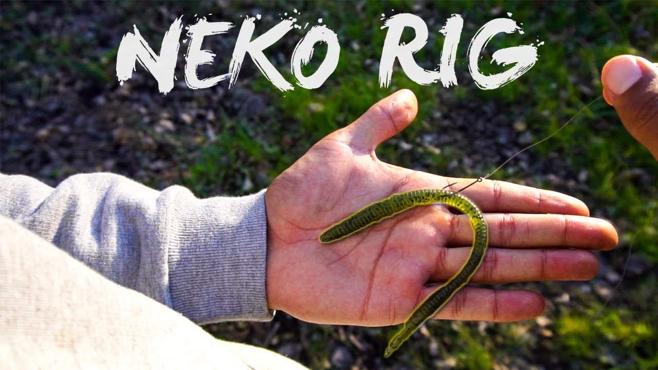 NEKO RIG | Un MONTAJE de lo más SENCILLO 👍 Pero MUY EFECTIVO 💯