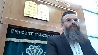 הרה״ג דוד שמואל קלופפר | דף יומי תענית | כ״ח ע״ב