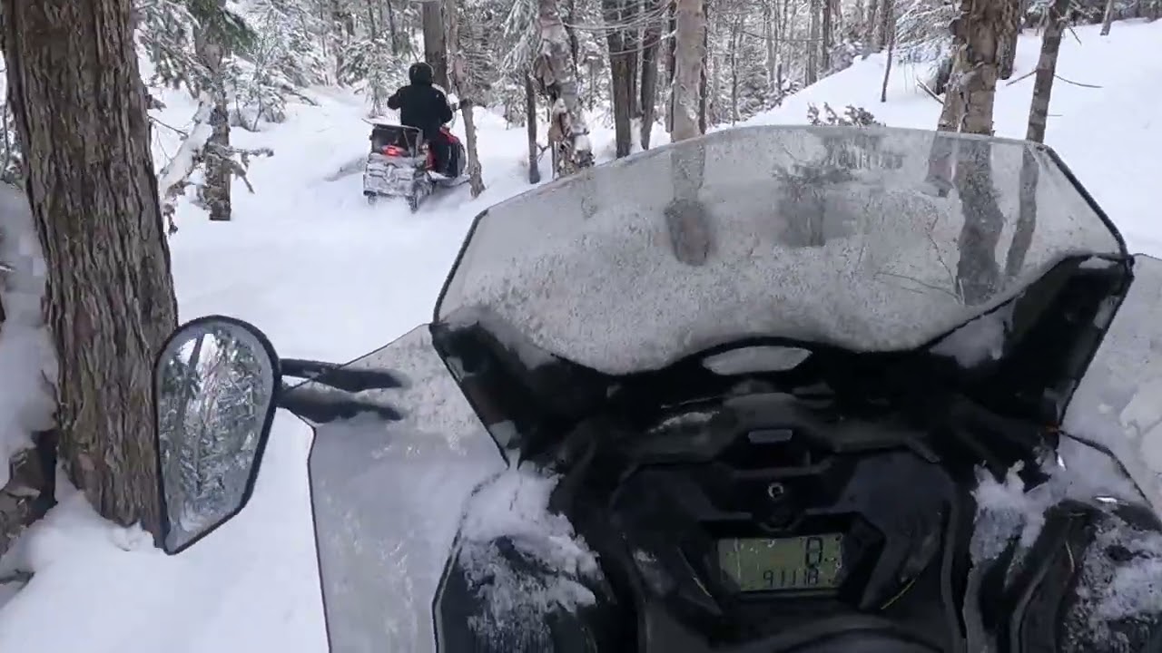 SKIDOO Trail en arrière de l'érablière.