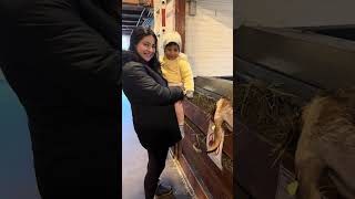 নদরলযনডর শষদনও কটটক নয বরয পরলম একট আননদর খজ..