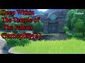 Deep Within The Temple of The Falcon Genshin Impact Gameplay(3)