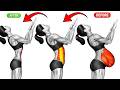How to Lose Belly Fat at Home Easy Daily Routine Proven Workout That Actually Works
