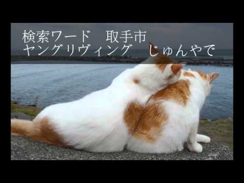 アロマオイル　ヤングリヴィング　お茶会　会員登録 2