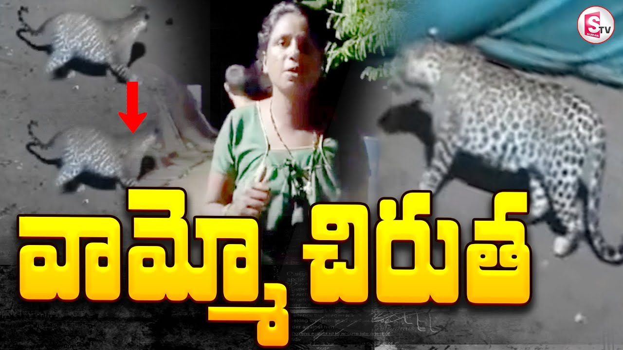 మహానందిలో వెంటాడుతున్న చిరుత | Cheetah in Mahanandi Nandyal District  | Sumantv Ongole