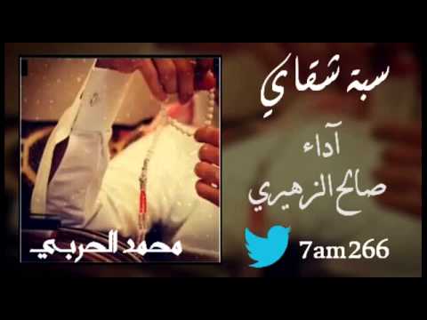 شيلة سبة شقاي آداء صالح الزهيري 2015 