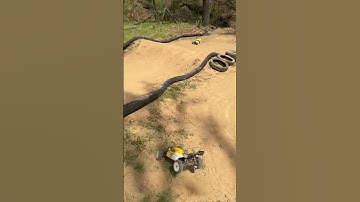 1/8 Scale Mugen RC Buggy Crashes Hard After The Quad! Durability Test!!