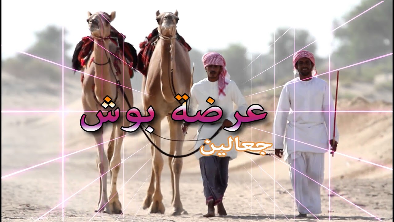 عرضة بوش جعالين تصوير و مونتاج آدم العلوي ٢٠١٧