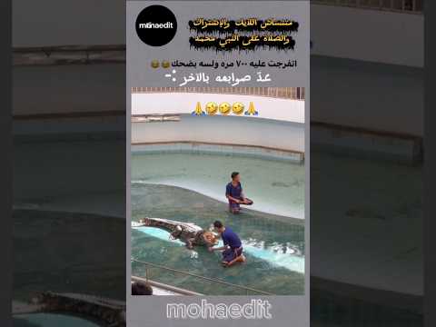 عد صوابعه بالآخر 