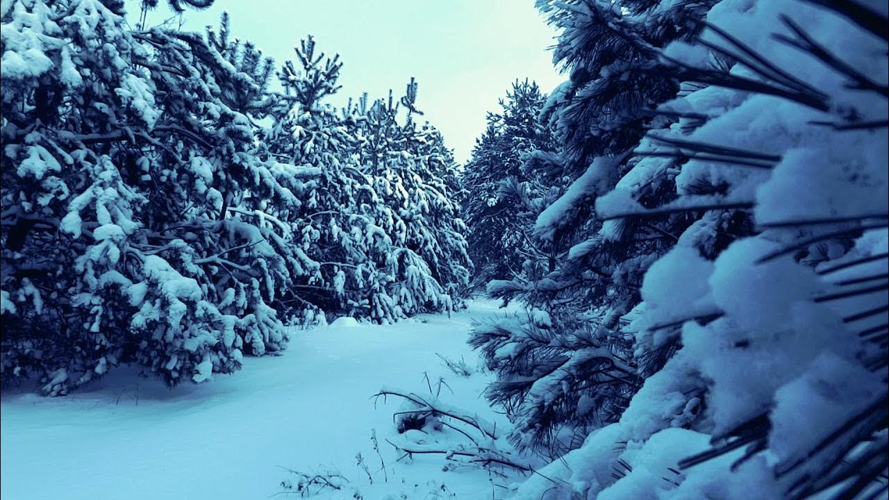 Звучание вьюги. Звук метели. Вьюга звук слушать. Звучание вьюги. Метель звук слушать для сна.