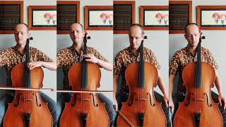 Attaboy Goat Rodeo Sessions Cello Cover Resimi