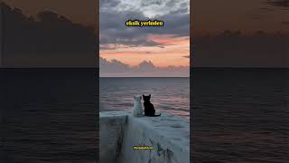 Herkes Yalnız, Herkes Kusurlu Gerçek Sevgi Kusurlarıyla Sevmektir Farkındalık Ve Huzur