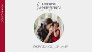 Комнатные растения | Дошкольники | Окружающий мир #41 | Инфоурок