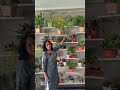 DIY Plant Swing Idea 🌱 | Turn Waste Ply into Beautiful Garden Decor#plantcaretips