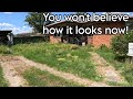 We gave this family their yard back! UGLY YARD RESTORED!