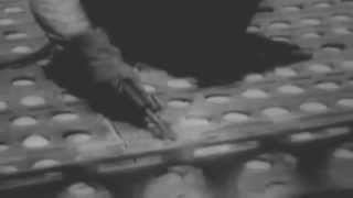 AAF Combat Film Report "Air Field Construction, Pacific" (full)