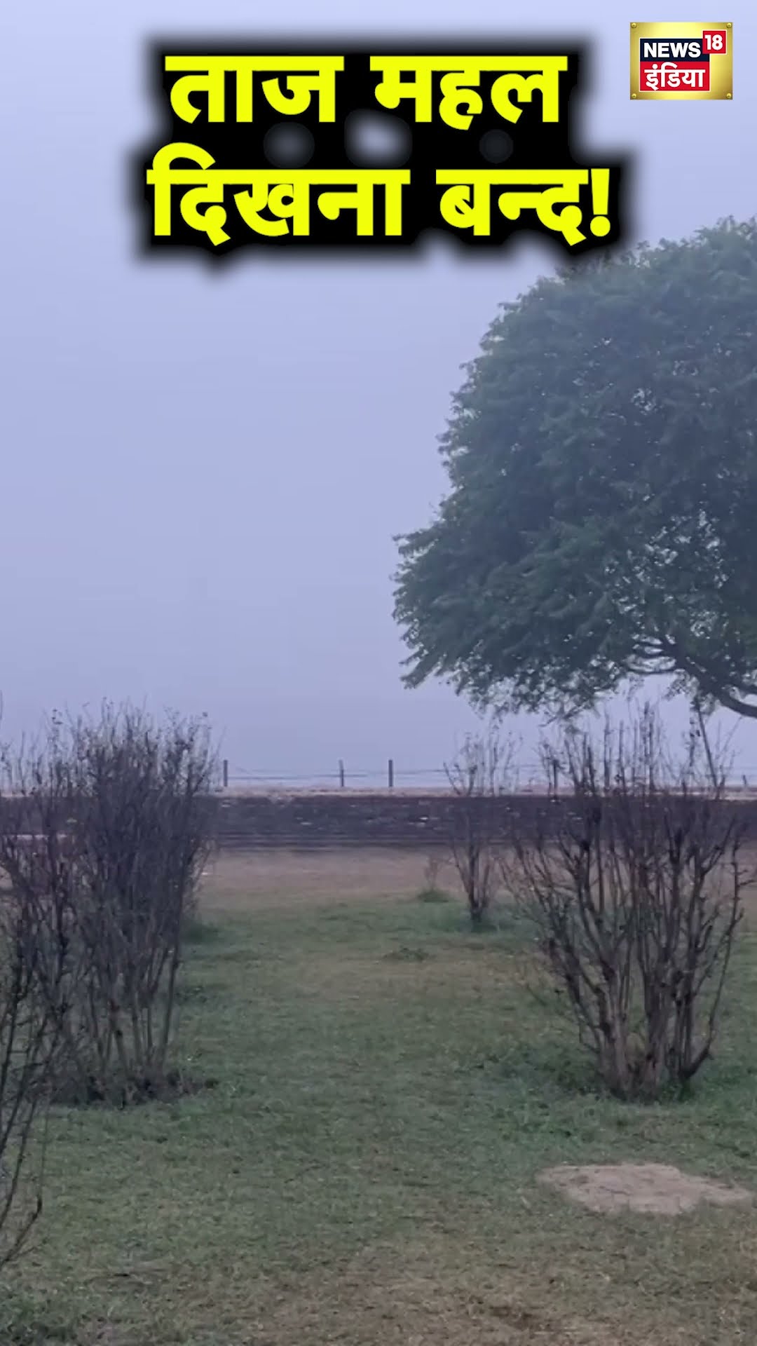 घने कोहरे में छिपा Taj Mahal | Agra | Fog | Cold Wave | Hindi News | N18S