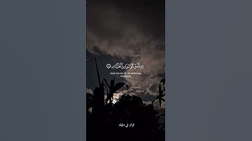 قران كريم ارح قلبك وسمعك #قران_في_دقيقة #quran #المصحف #المنشاوي #قرآن @قران_في_دقيقة